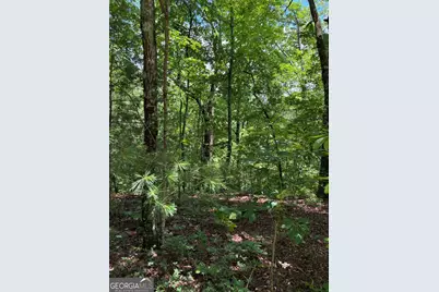 L66 67 Lynx Court #66 67, Ellijay, GA 30540 - Photo 6