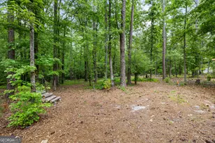 150 Handshaker Ct, Fayetteville, GA 30215 - Photo 70