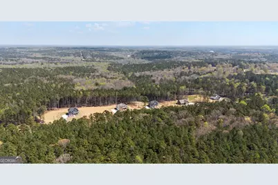 2385 New Hope Road #LOT 1, Locust Grove, GA 30248 - Photo 58