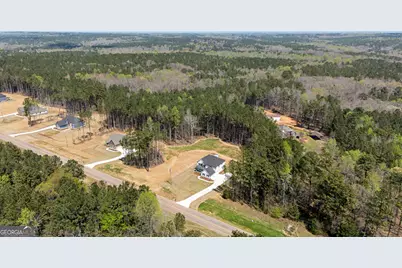 2385 New Hope Road #LOT 1, Locust Grove, GA 30248 - Photo 54