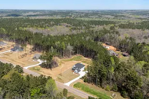 2385 New Hope Rd, Locust Grove, GA 30248 - Photo 54