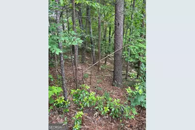 0 Hinterstraten Weg #LOT 116, Helen, GA 30545 - Photo 1