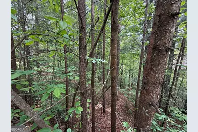 0 Hinterstraten Weg #LOT 116, Helen, GA 30545 - Photo 2