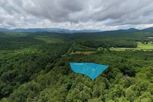 61 Amelia Ln, Blue Ridge, GA 30513 - Photo 56
