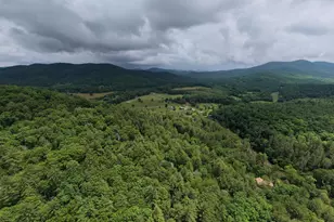 61 Amelia Ln, Blue Ridge, GA 30513 - Photo 54
