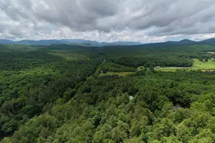 61 Amelia Ln, Blue Ridge, GA 30513 - Photo 54