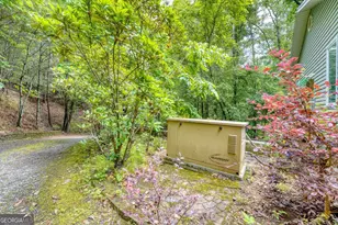 61 Amelia Ln, Blue Ridge, GA 30513 - Photo 46