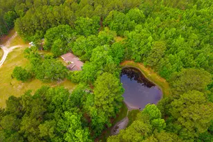 3869 Hiltonia-Perkins Rd, Sylvania, GA 30467 - Photo 10