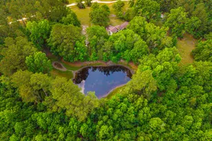 3869 Hiltonia-Perkins Rd, Sylvania, GA 30467 - Photo 1