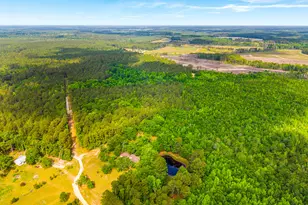 3869 Hiltonia-Perkins Rd, Sylvania, GA 30467 - Photo 2