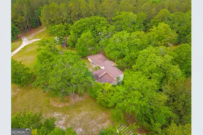 3869 Hiltonia-Perkins Road, Sylvania, GA 30467 - Photo 6