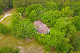 3869 Hiltonia-Perkins Rd, Sylvania, GA 30467 - Photo 6