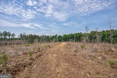 0 Gene Smith Road, Carlton, GA 30627 - Photo 22