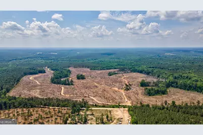 0 Gene Smith Road, Carlton, GA 30627 - Photo 28
