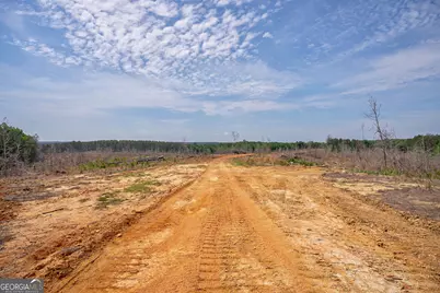 0 Gene Smith Road, Carlton, GA 30627 - Photo 10