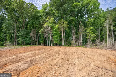 0 Gene Smith Road, Carlton, GA 30627 - Photo 24