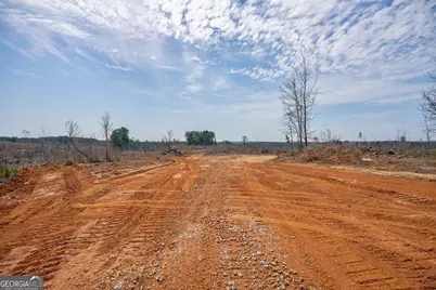 0 Gene Smith Road, Carlton, GA 30627 - Photo 6