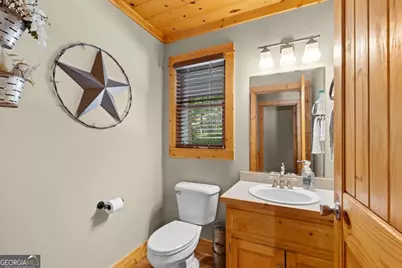 224 Dragon Tree Lane, Lakemont, GA 30552 - Photo 12
