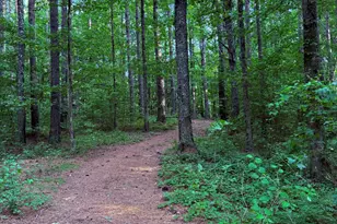 340 Adolphus-Callaway Rd, Rayle, GA 30660 - Photo 4