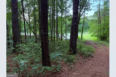340 Adolphus Callaway Road, Rayle, GA 30660 - Photo 6