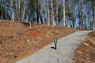 120R Red Oak Trail, Ellijay, GA 30540 - Photo 1