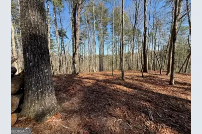 120R Red Oak Trail, Ellijay, GA 30540 - Photo 2
