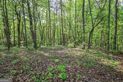 0 Amicalola Drive, Dawsonville, GA 30534 - Photo 4