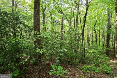0 Amicalola Drive, Dawsonville, GA 30534 - Photo 1