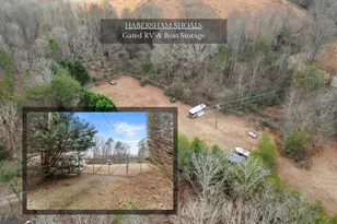 206 Shoals Way, Clarkesville, GA 30523 - Photo 42