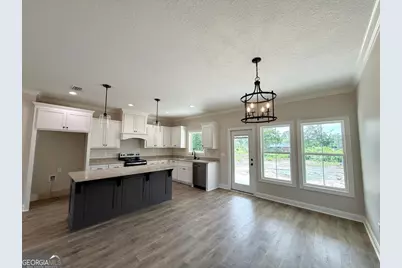 2702 Thomas Street, Adel, GA 31620 - Photo 4