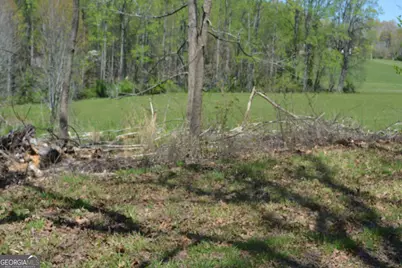 1404 Holly Point Road, Hiawassee, GA 30546 - Photo 12