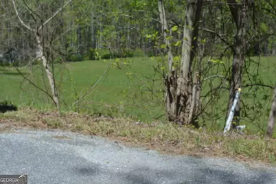 1404 Holly Point Road, Hiawassee, GA 30546 - Photo 10