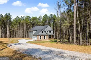 3921 Peeksville Rd, Locust Grove, GA 30248 - Photo 2