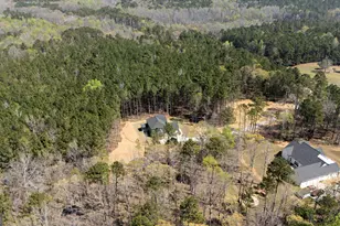 3921 Peeksville Rd, Locust Grove, GA 30248 - Photo 52