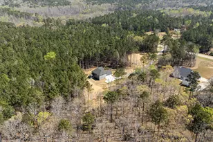 3921 Peeksville Rd, Locust Grove, GA 30248 - Photo 52
