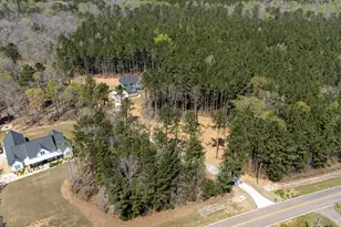 3921 Peeksville Rd, Locust Grove, GA 30248 - Photo 50