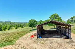1193 Pine Log Rd, Warne, NC 28909 - Photo 64