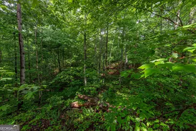 Lot 150 Tranquility @ Carters Lake, Ellijay, GA 30540 - Photo 6
