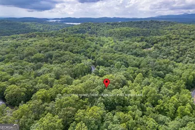 Lot 150 Tranquility @ Carters Lake, Ellijay, GA 30540 - Photo 24