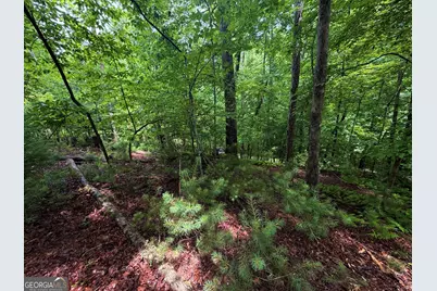 Lt 144 Alcan Way, Ellijay, GA 30540 - Photo 6