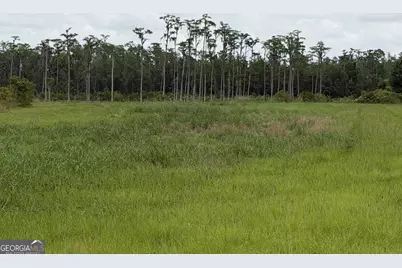 4090 Ezelle Road, Valdosta, GA 31606 - Photo 32