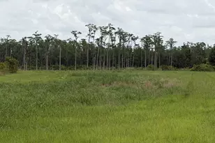 4090 Ezelle Rd, Valdosta, GA 31606 - Photo 32