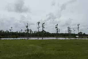 4090 Ezelle Rd, Valdosta, GA 31606 - Photo 18