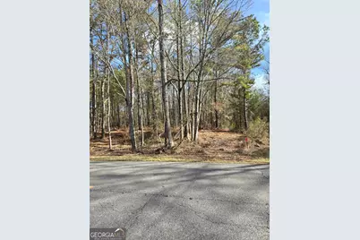 00 Yatesville R Yatesville Road, Barnesville, GA 30204 - Photo 2
