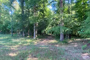 1250 Godfrey Rd, Madison, GA 30650 - Photo 42