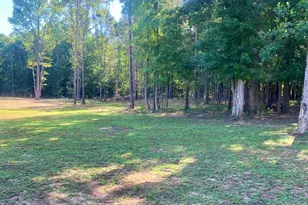 1250 Godfrey Rd, Madison, GA 30650 - Photo 16