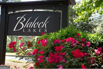 1230 Blalock Lakes Drive, Newnan, GA 30263 - Photo 54