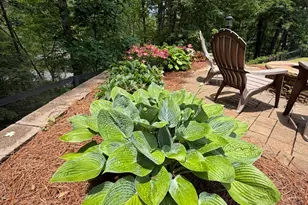 74 Valley Dr, Ellijay, GA 30536 - Photo 28