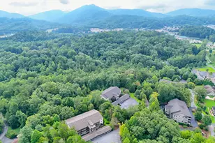300 Ginger Creek Ln, Clayton, GA 30525 - Photo 60