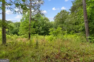 4454 Ledan Ext, Gainesville, GA 30506 - Photo 24